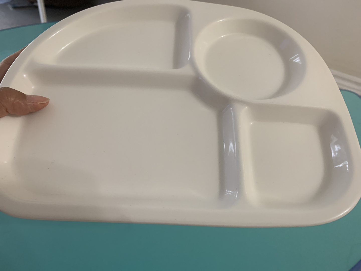 diet plate - photo 2