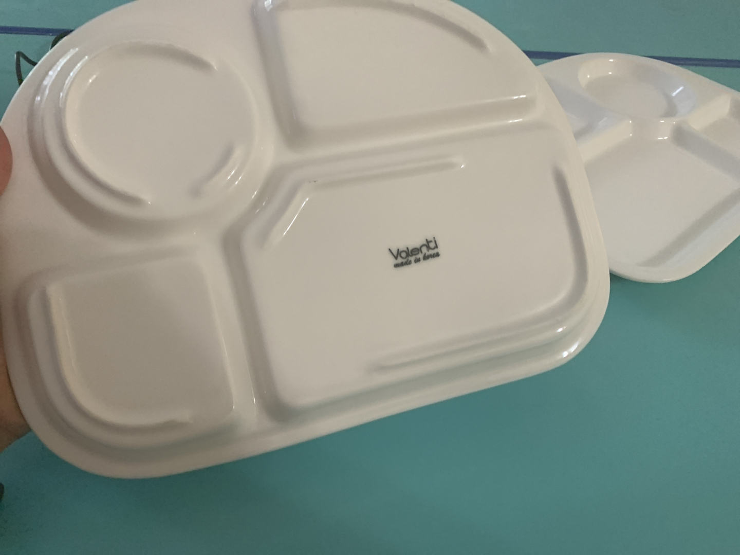 diet plate - photo 3
