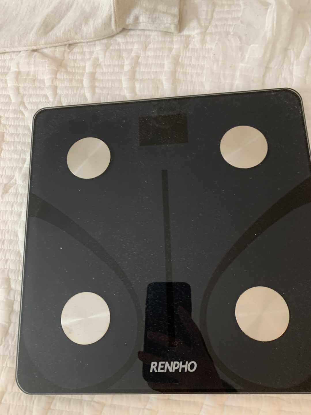 Scale  - photo 2