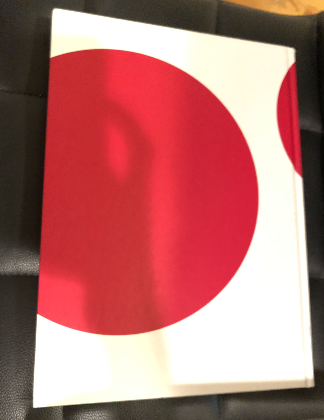 YAYOI KUSAMA ART BOOK - photo 3