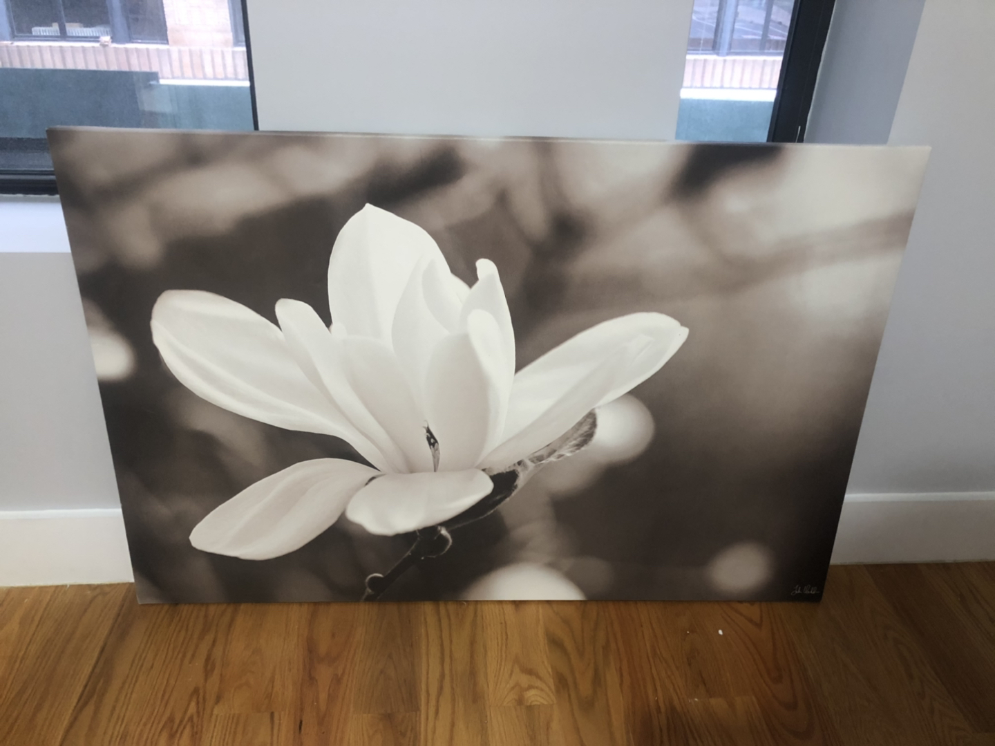 Medium-large black and white floral photography canvas print