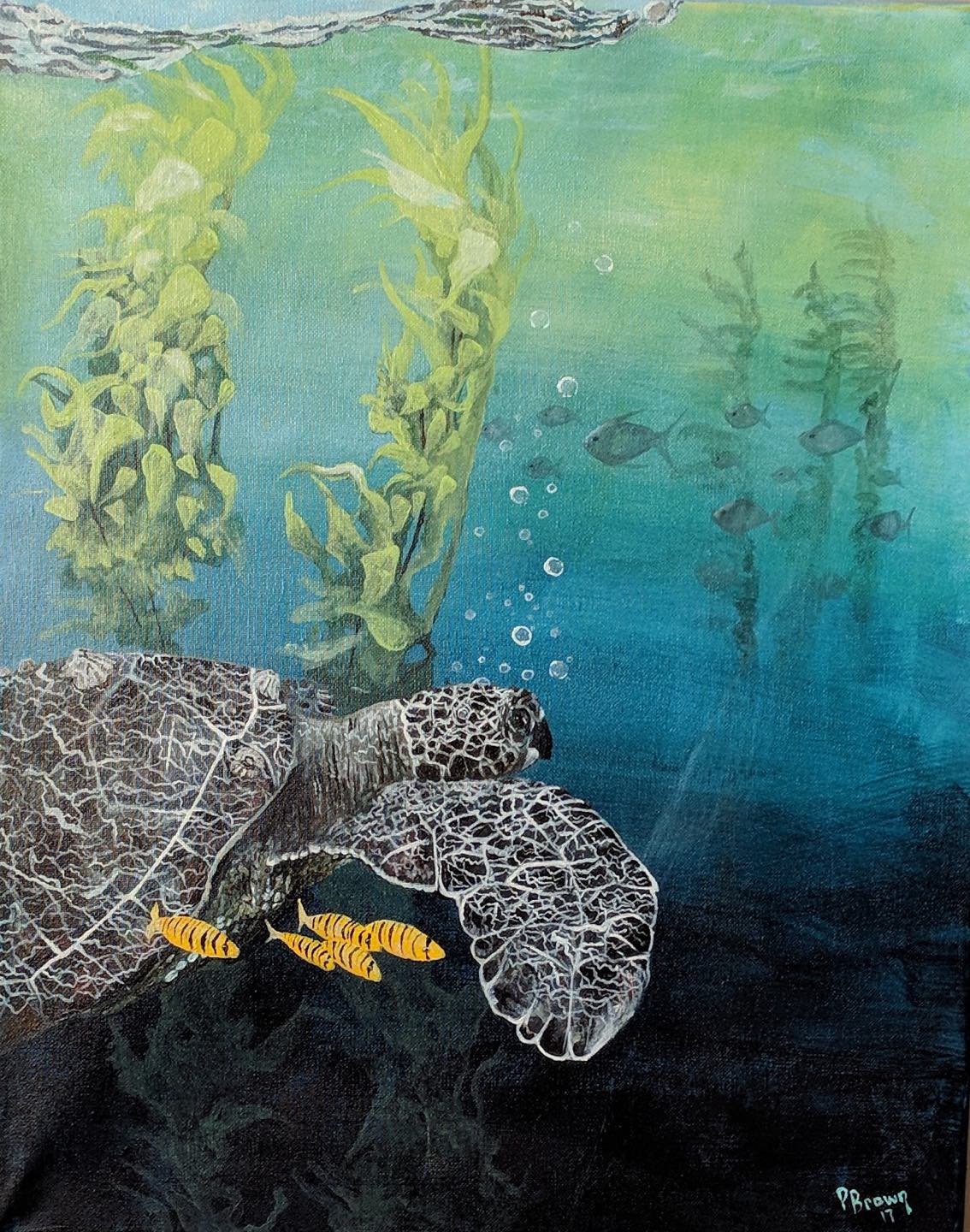 Sea Turtle