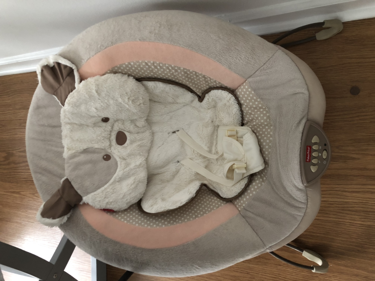 Fisher Price bouncer