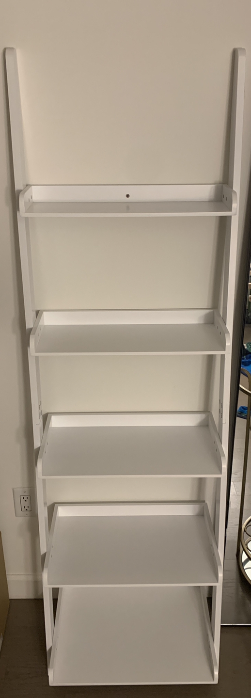 Ladder Bookshelf/Standing Shelves