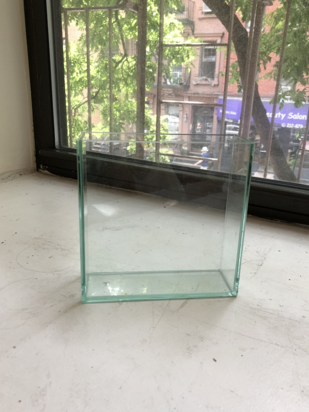 GLASS VASE