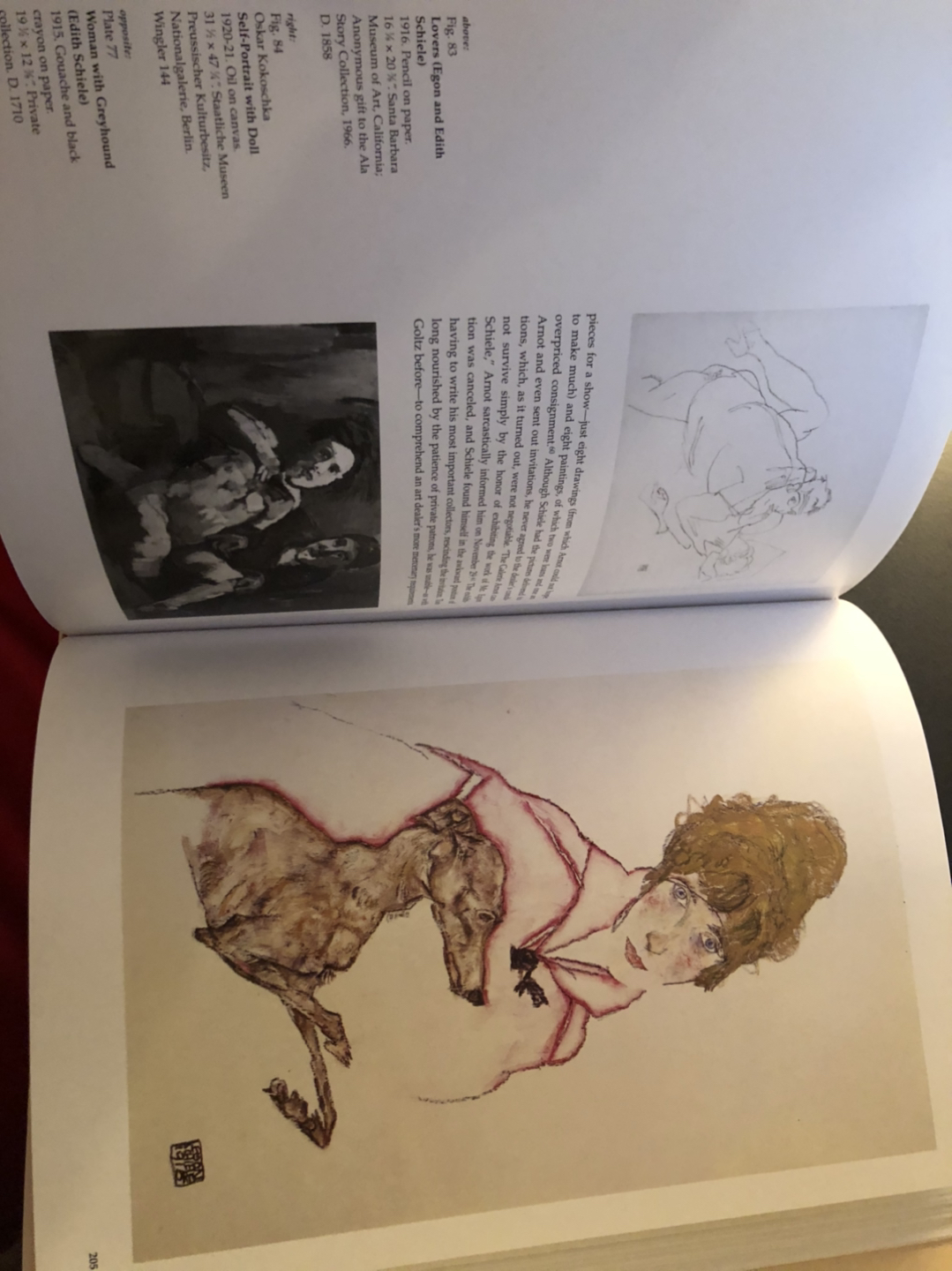 EGON SCHIELE ART BOOK - photo 4