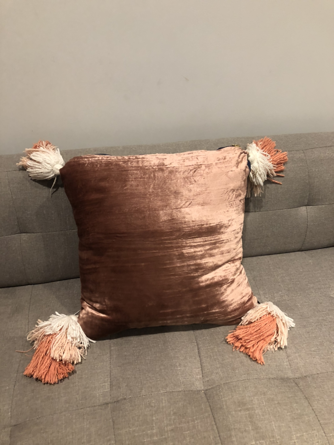Anthropologie Reversible Throw Pillow 
