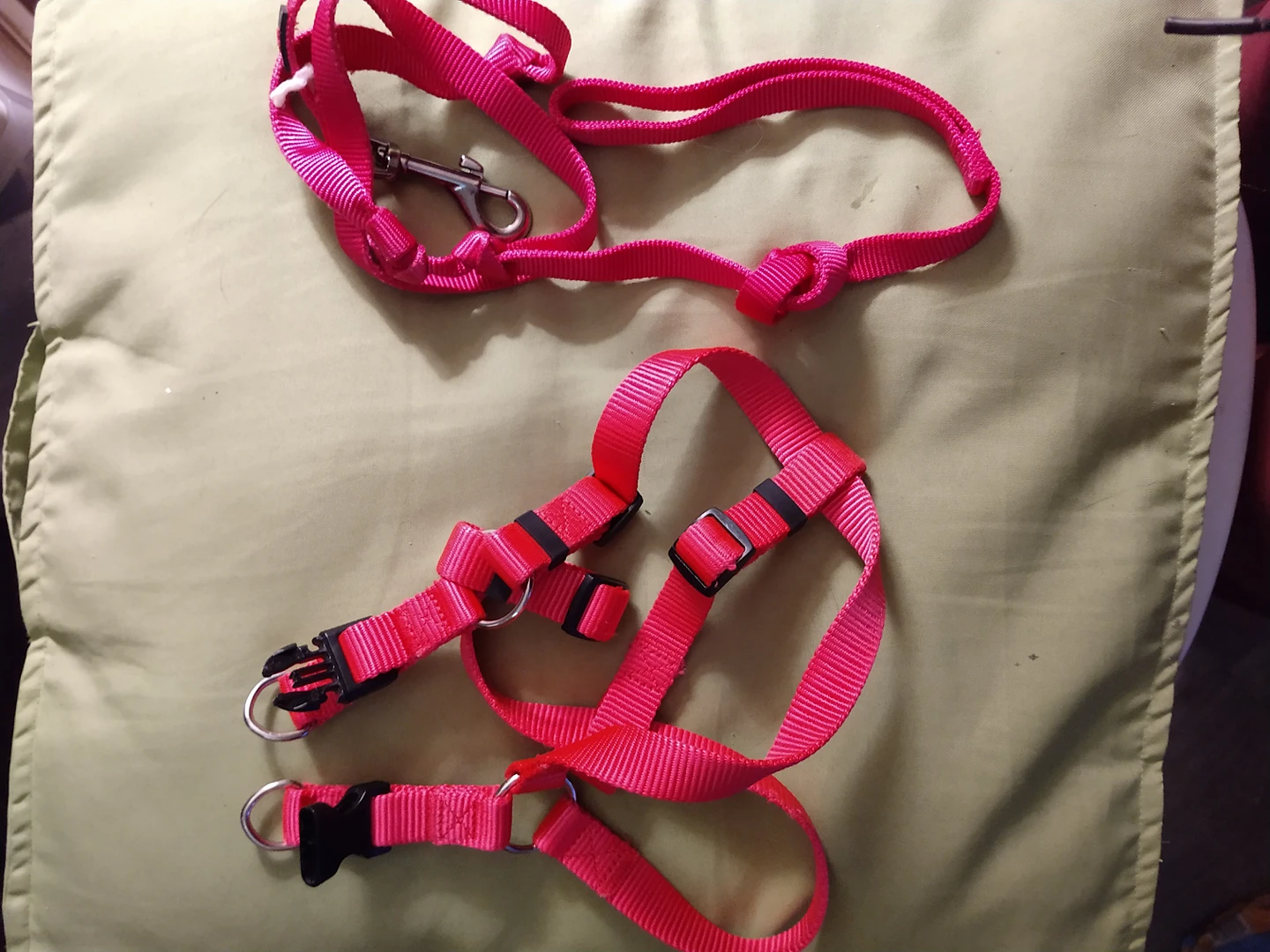 Dog harness and leash