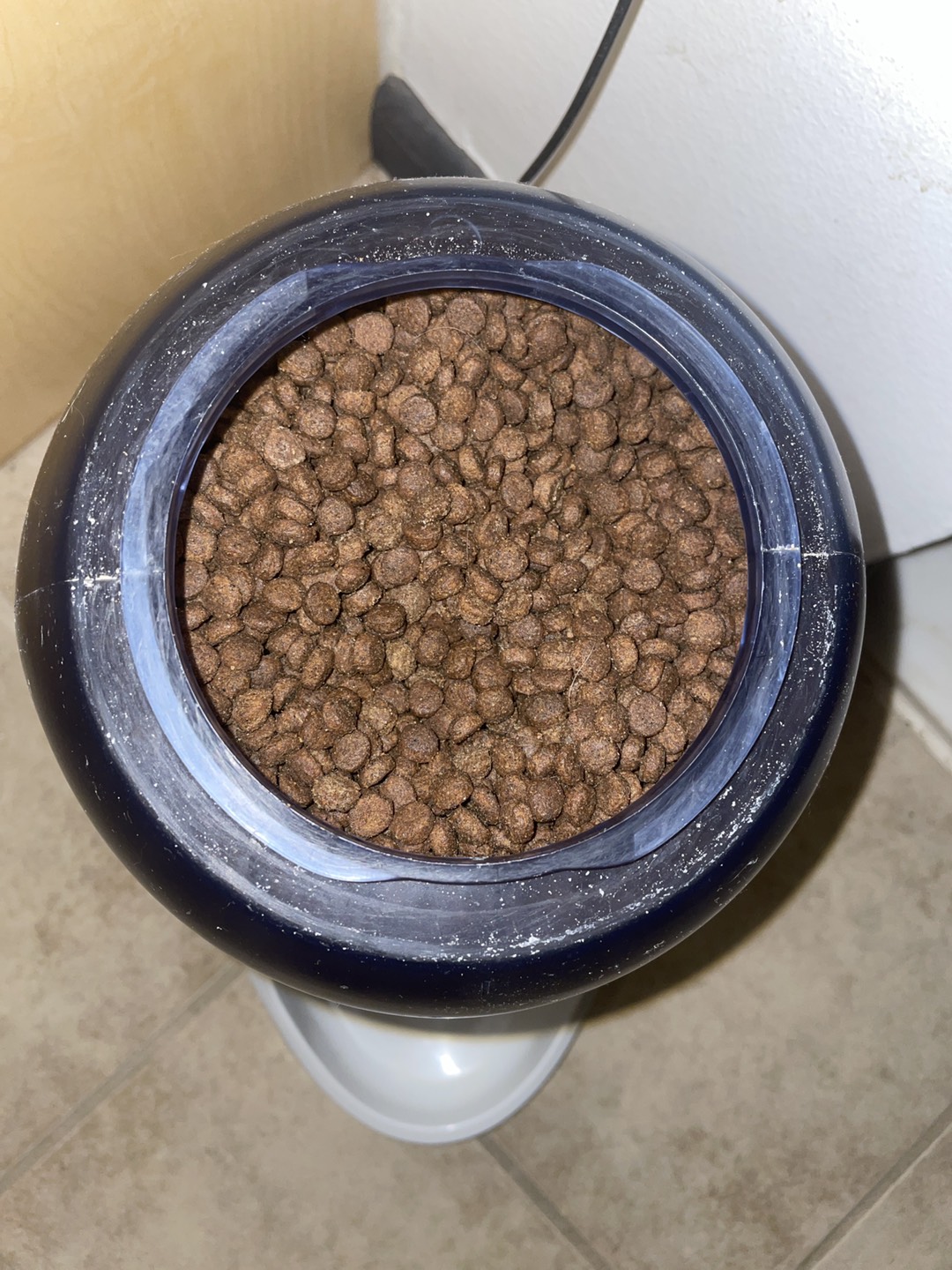 Automatic Pet Feeder - photo 2