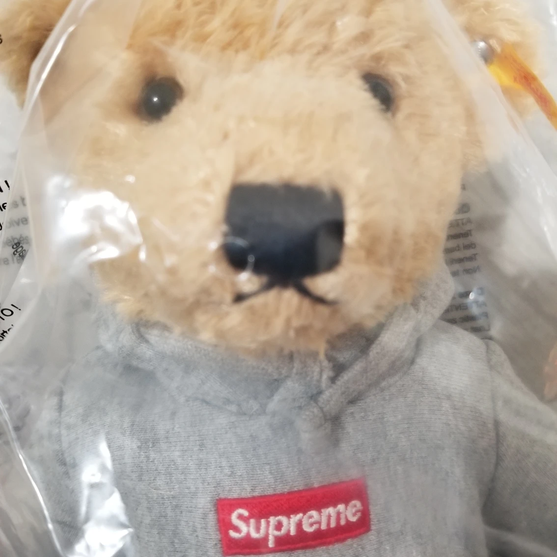 supreme teddy bear