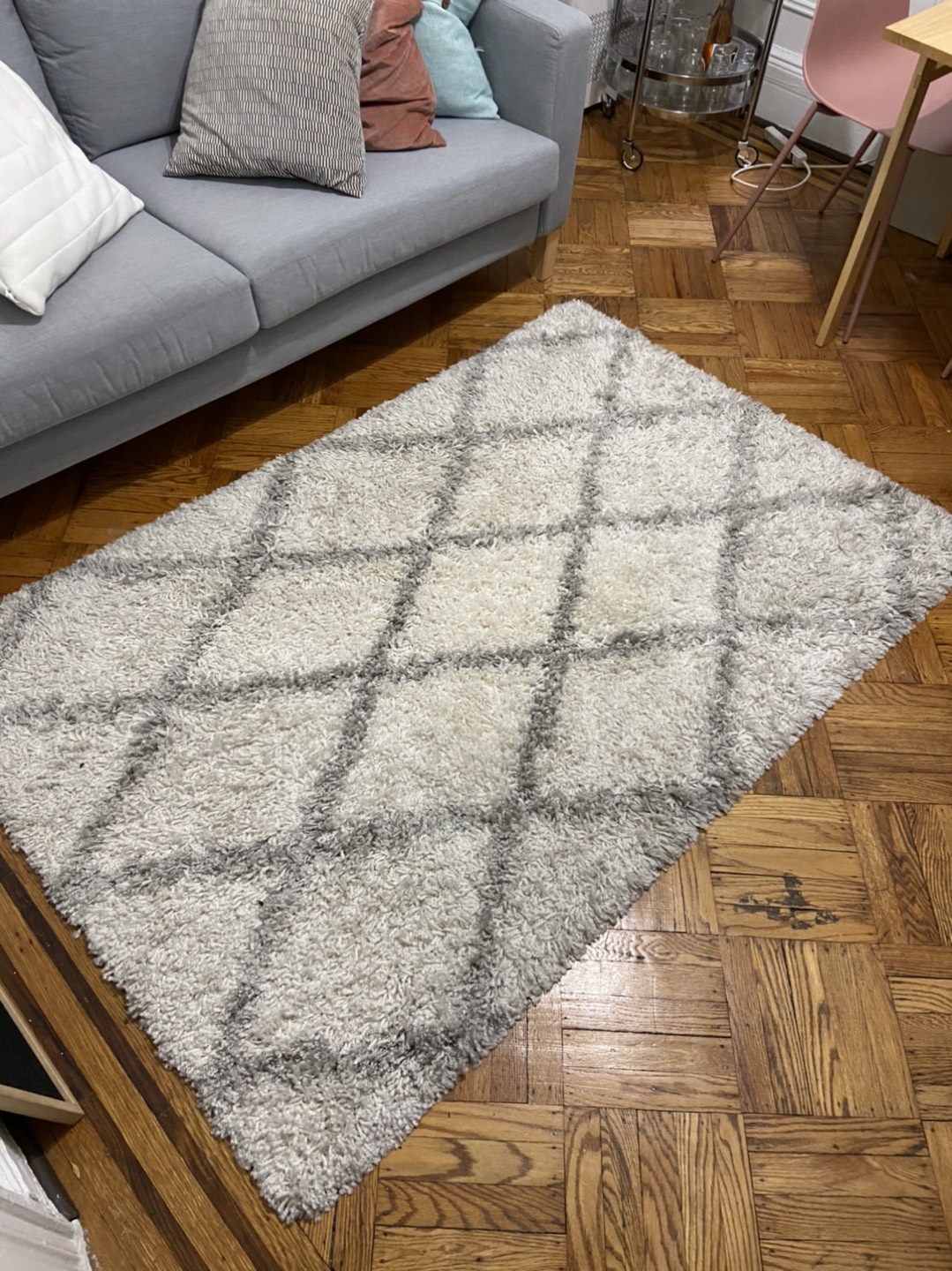 4x6 shag rug
