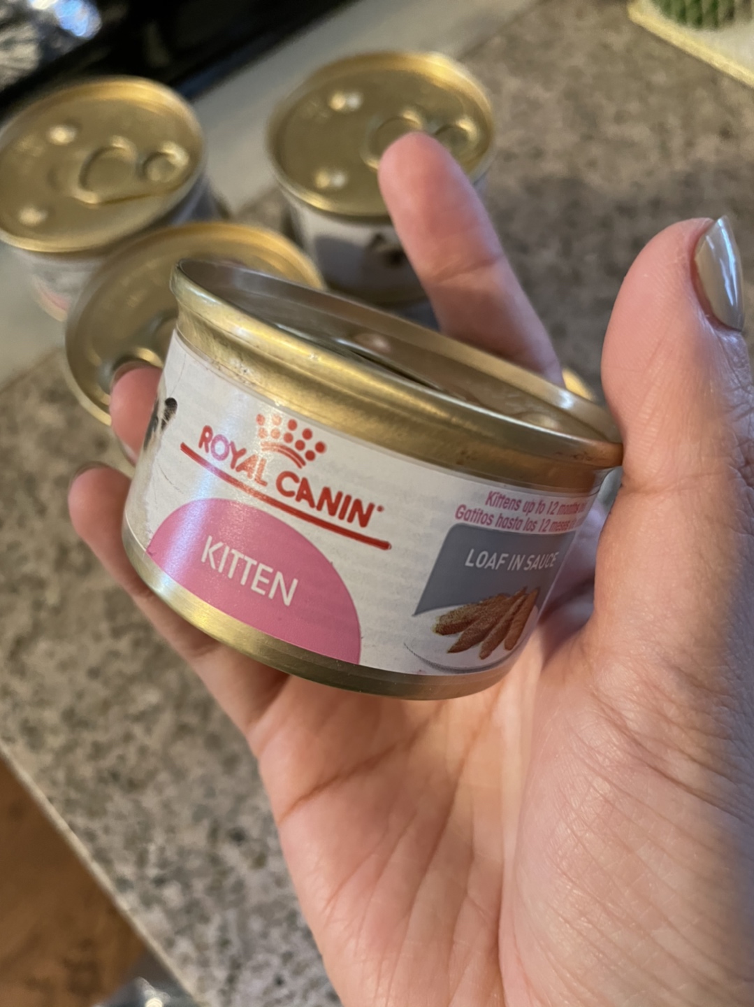 Royal canin Feline Kitten loaf