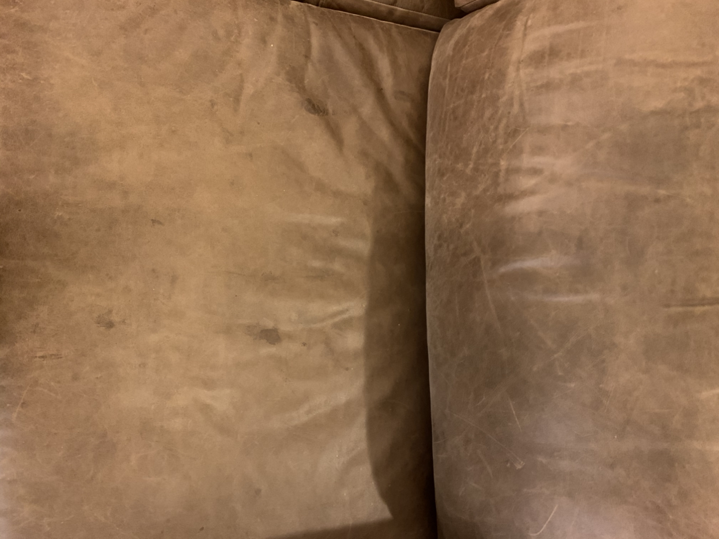 Mid Century Dempsey Leather Sofa - photo 4