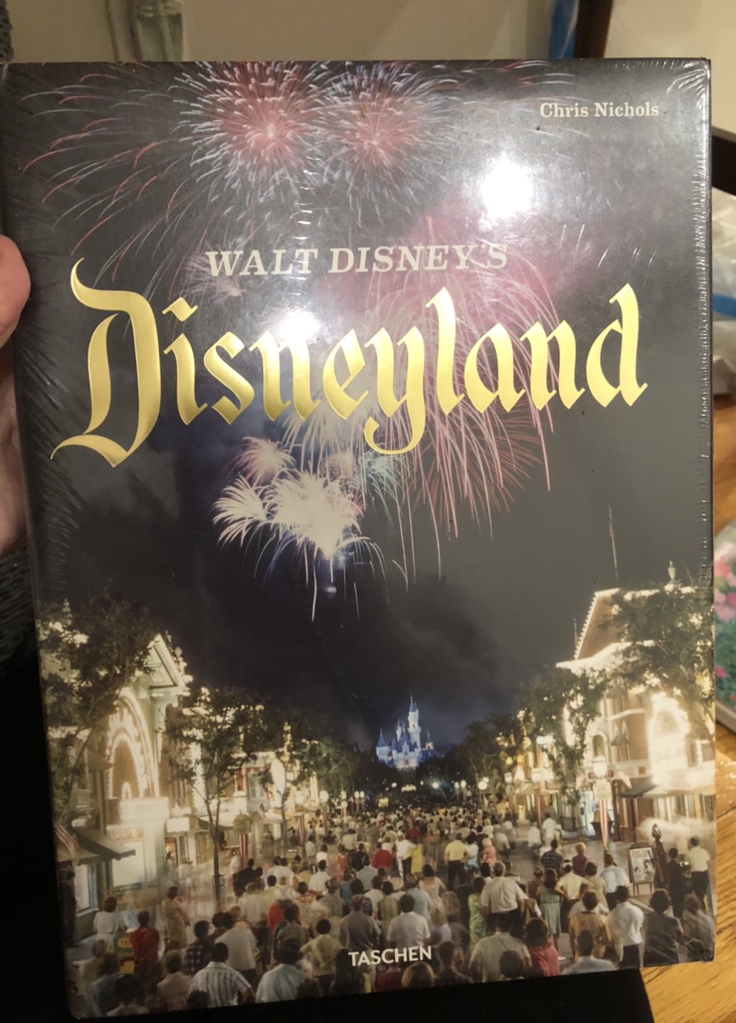 Disneyland Book