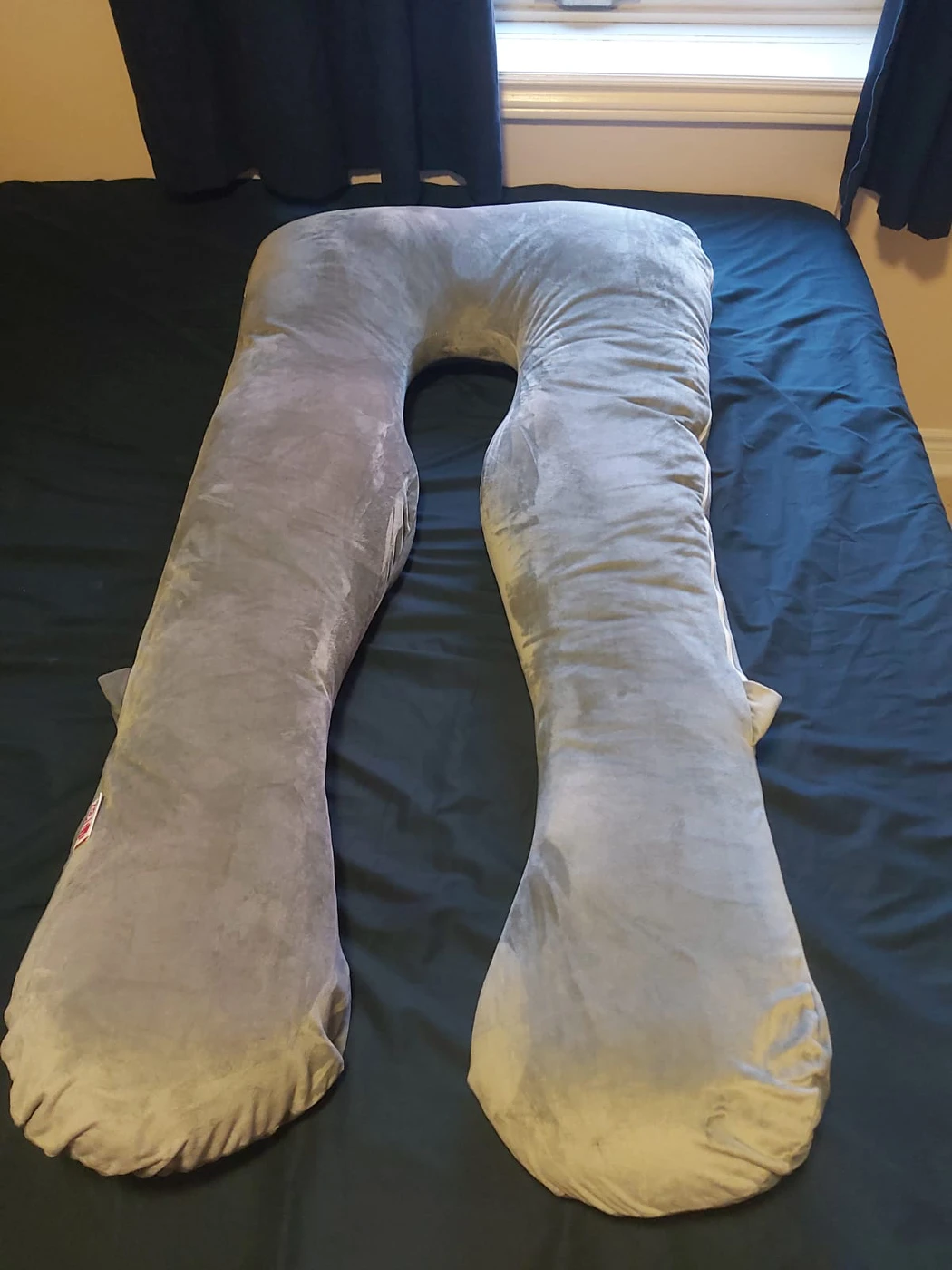 Pregnancy Pillow