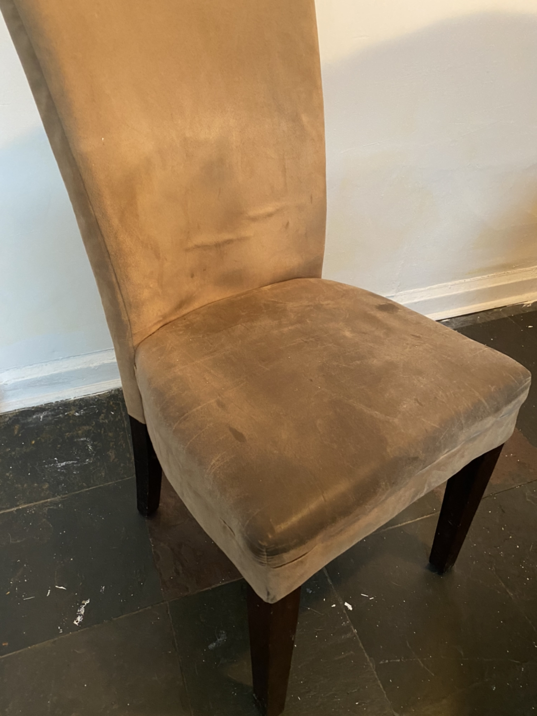 Suede dining chairs  thumbnail
