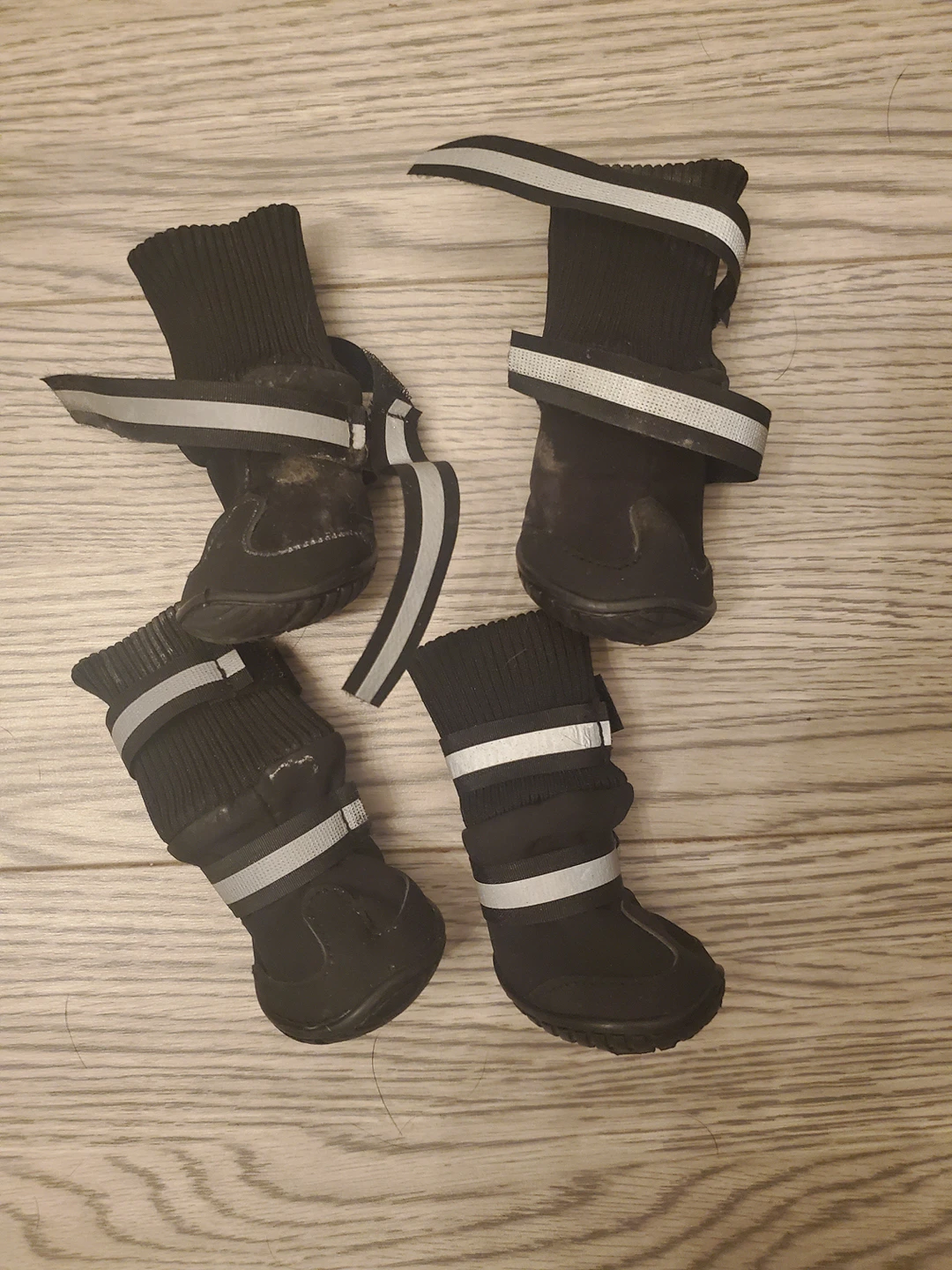xs dog booties