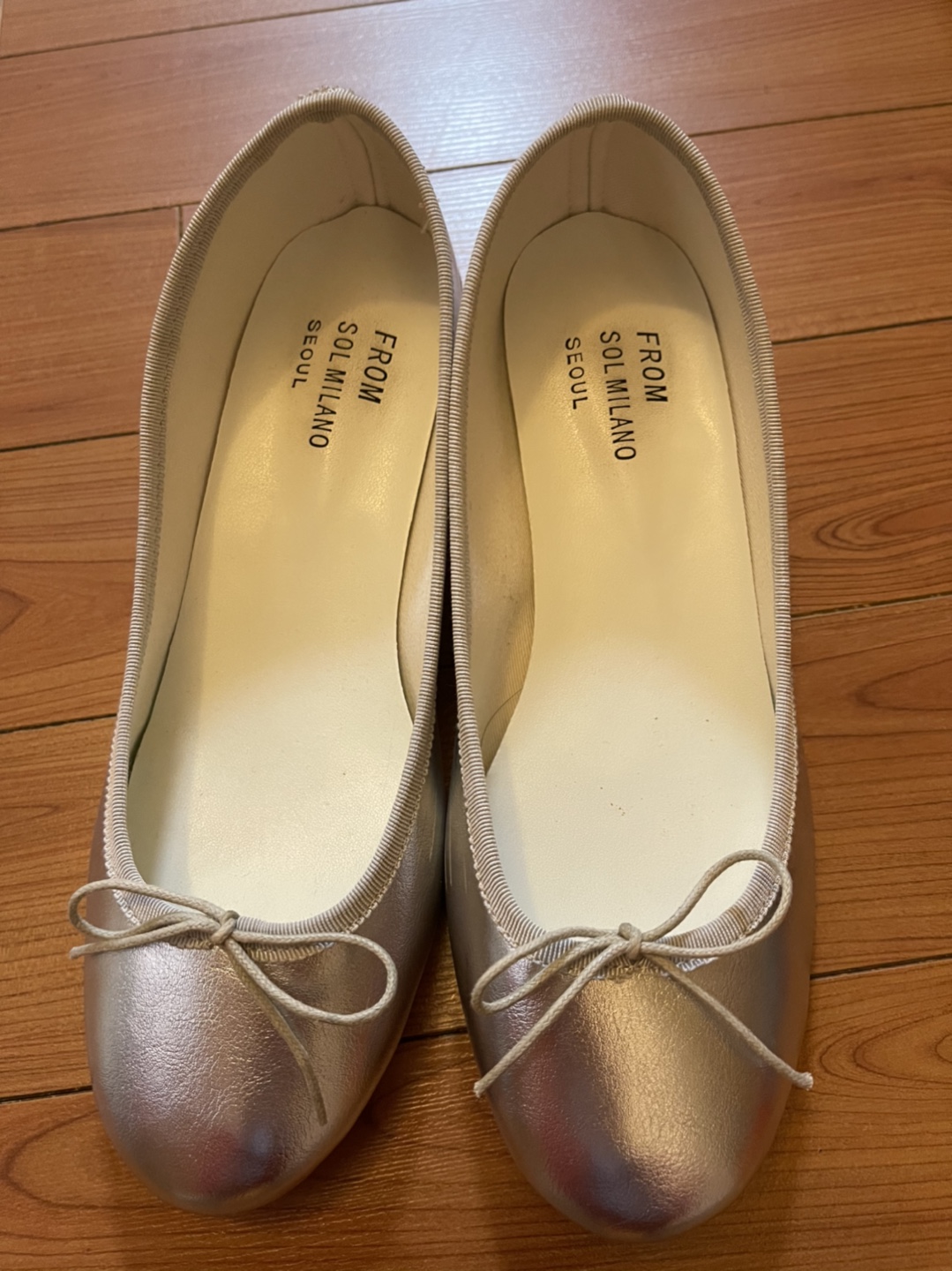 SLIVER ballet shoes
