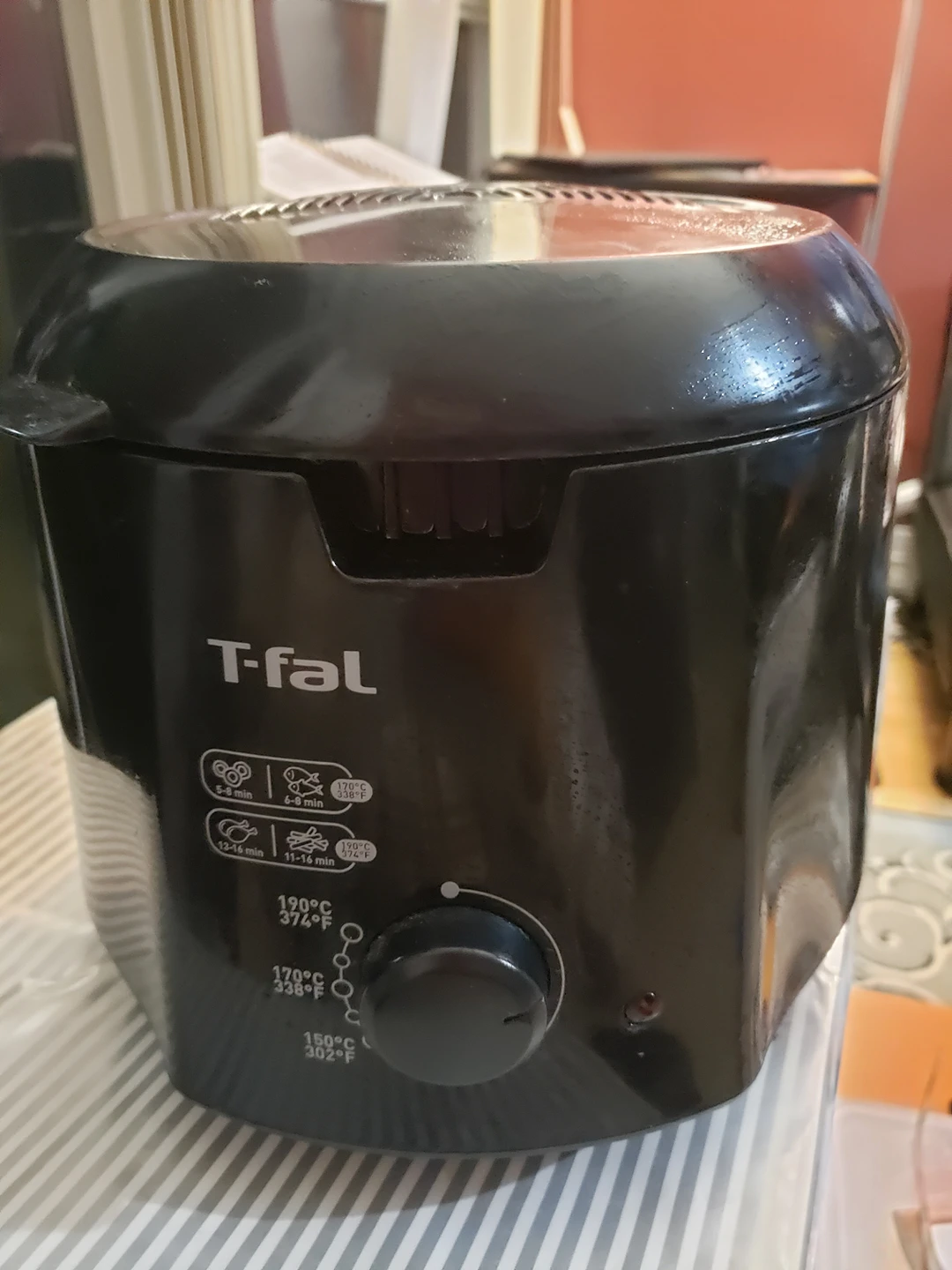 mini deep fryer