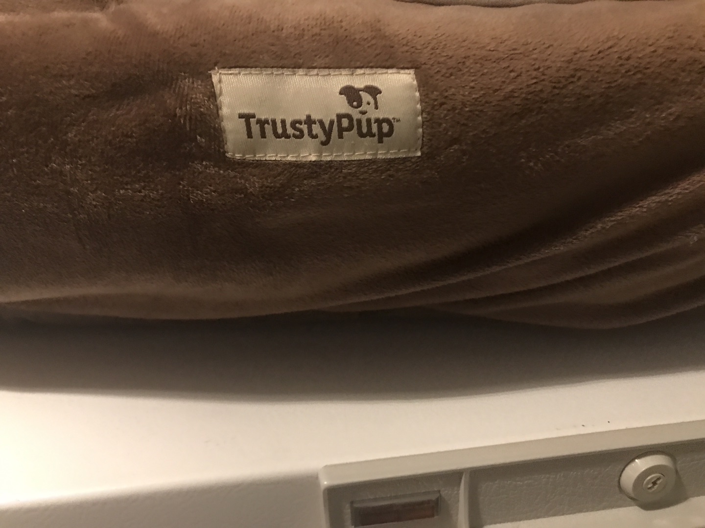 Pets bed  thumbnail