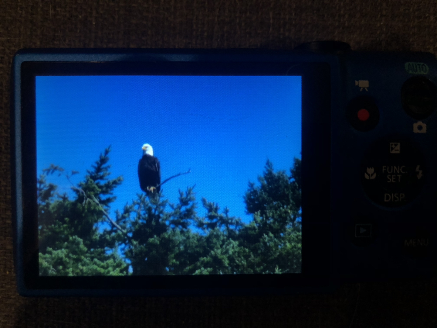 CANON PowerShot Elph digital camera - photo 2
