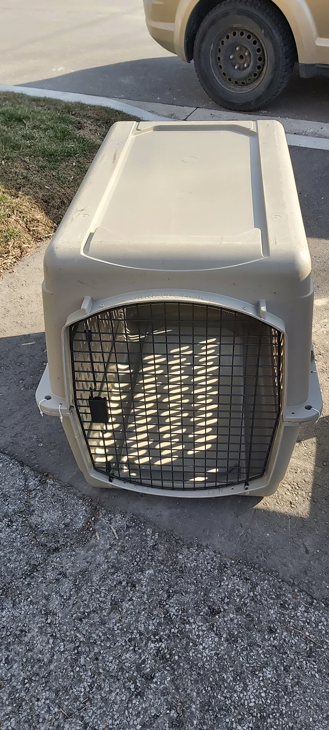 Large Dog Cage thumbnail