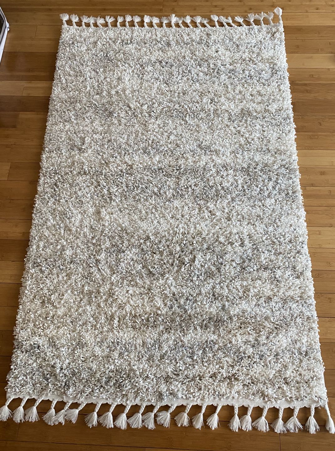 Shag rug 