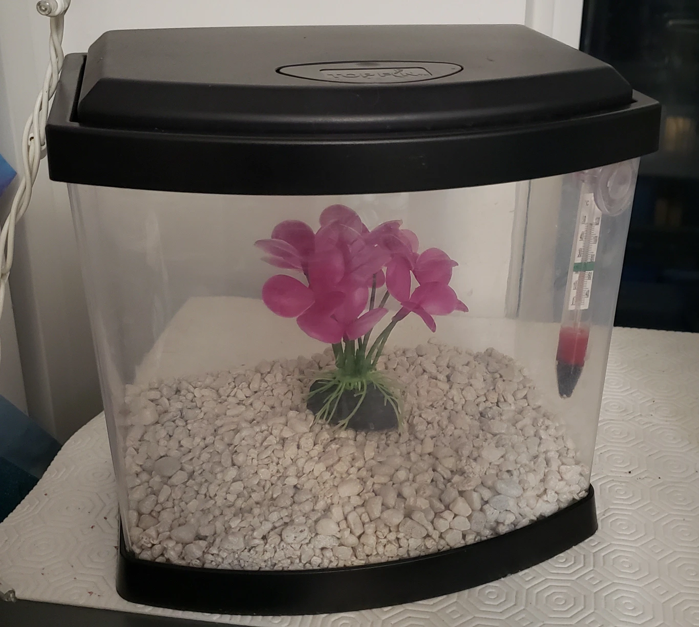 Fish Tank Set