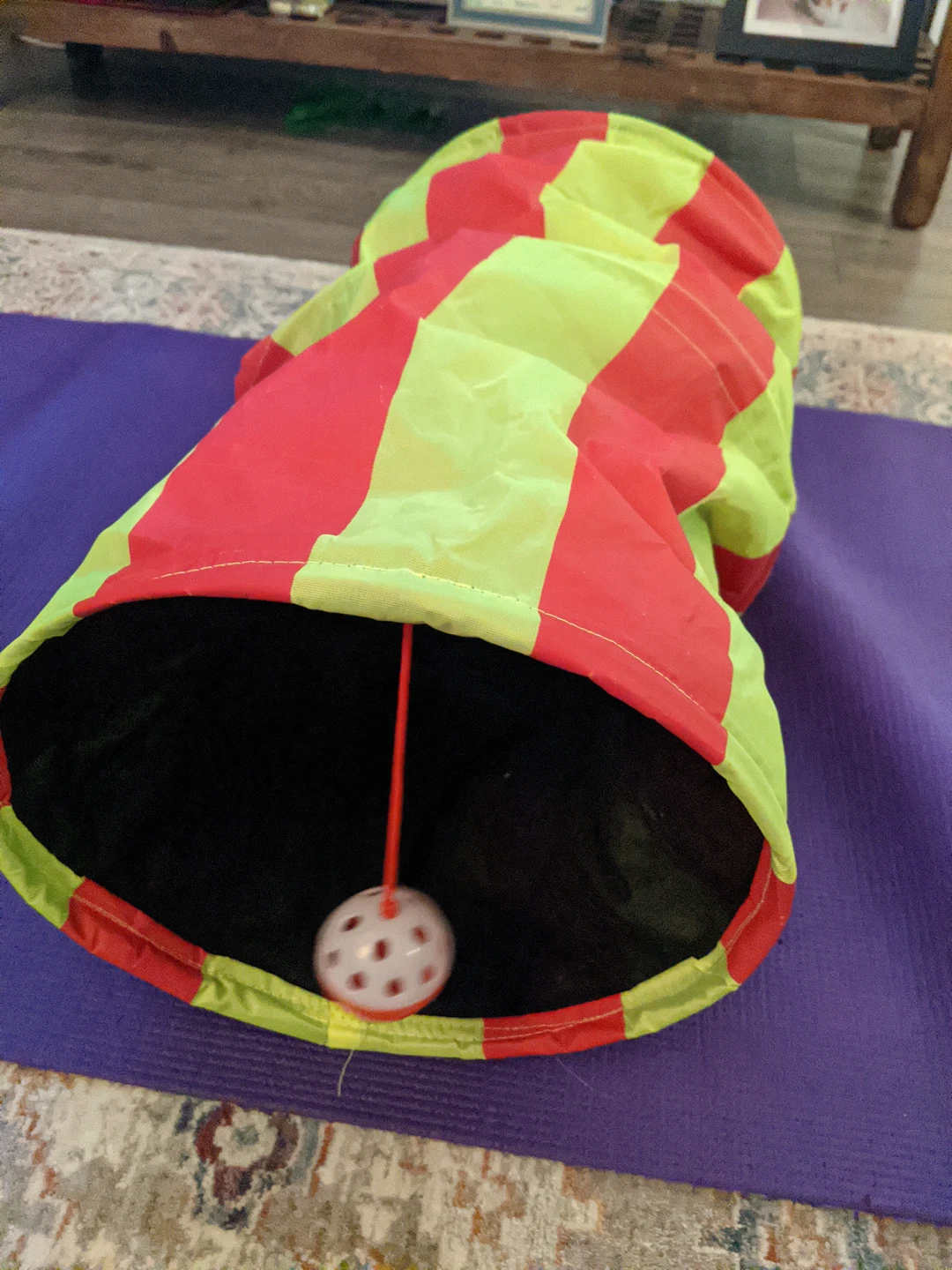 cat tunnel cat toy