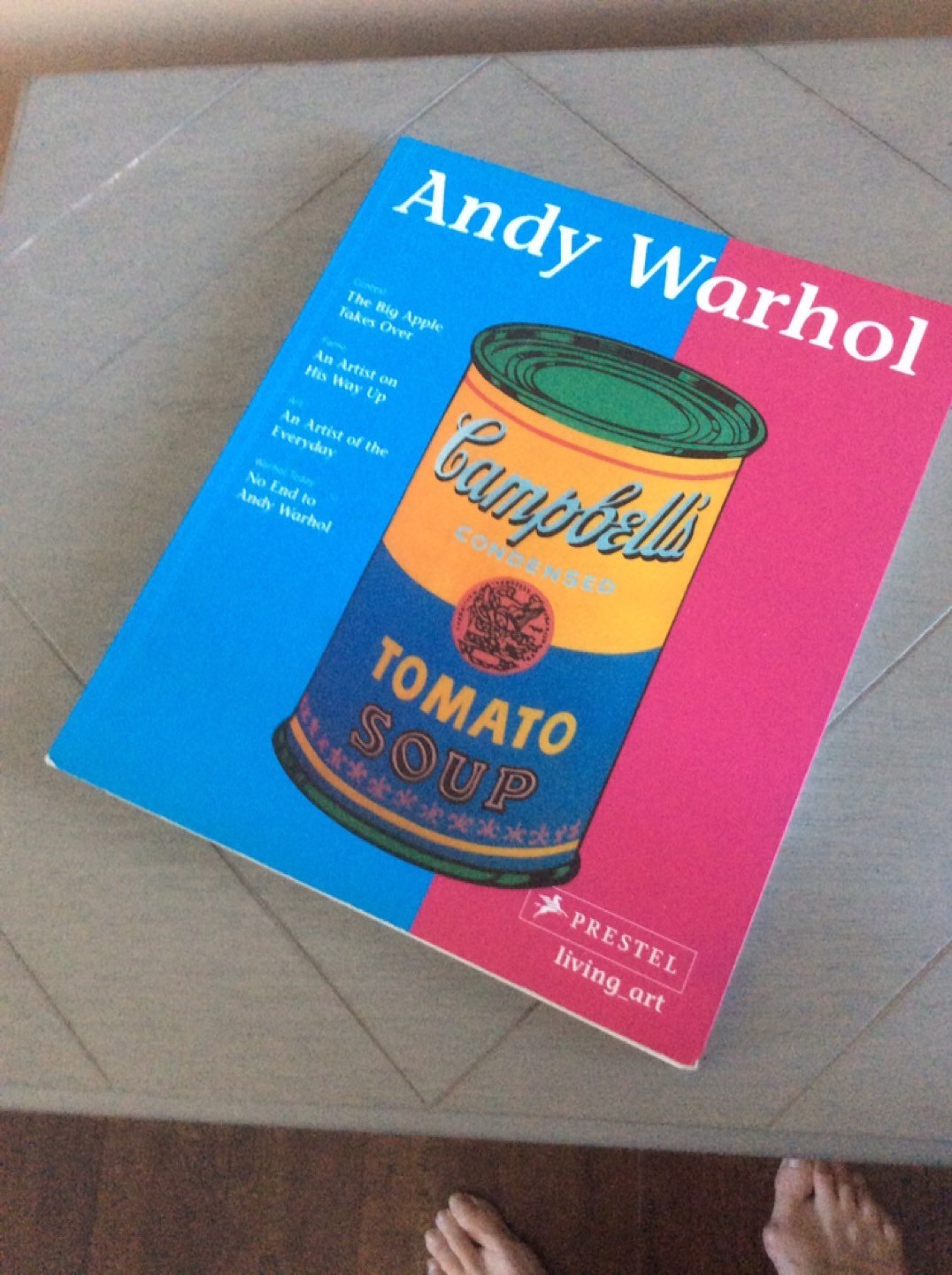 Andy Warhol book thumbnail