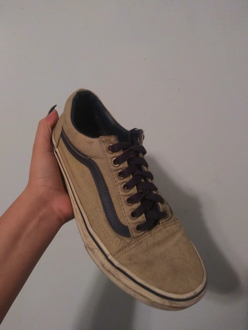 Vans thumbnail