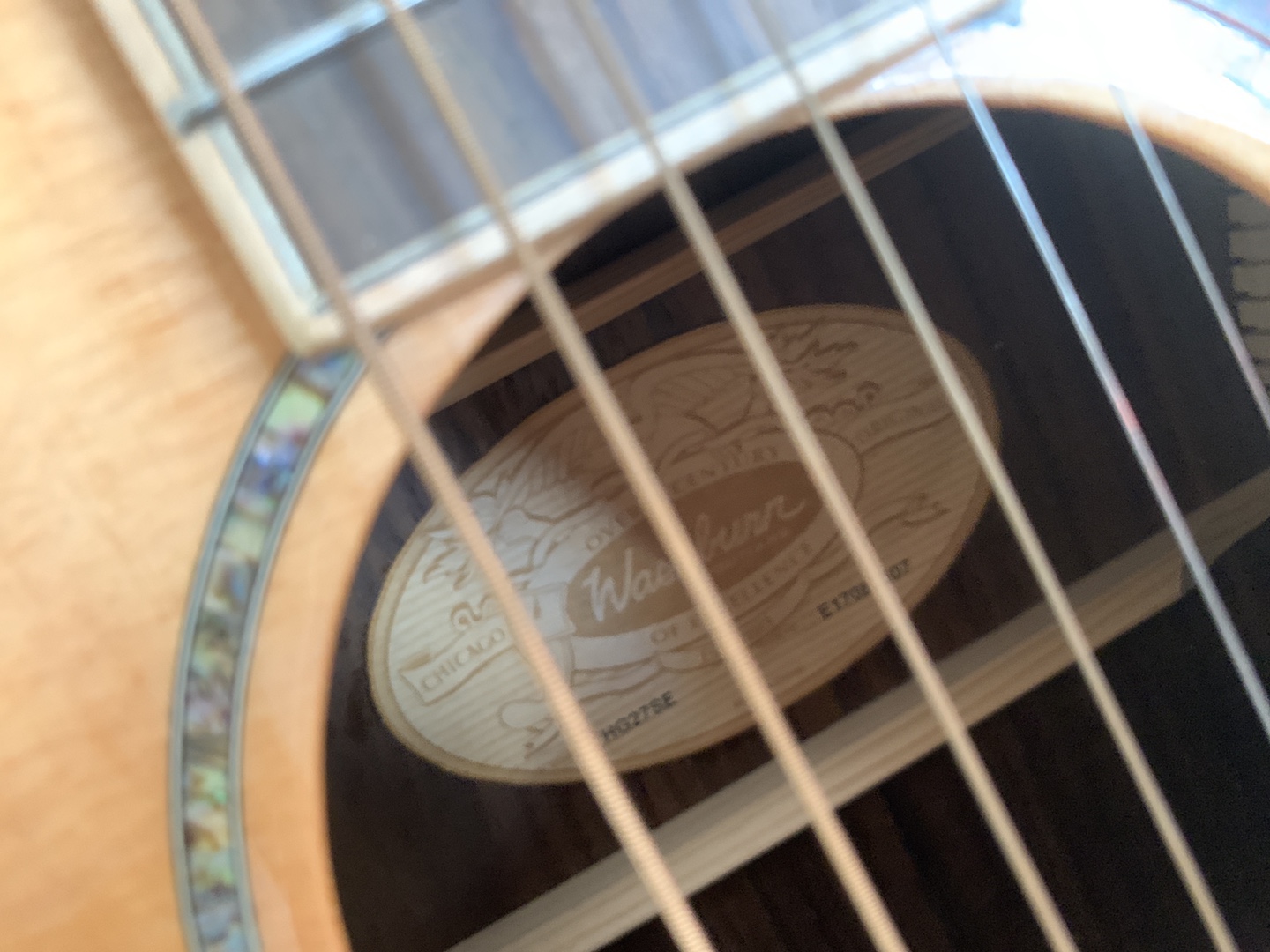 Washburn guitar - photo 2