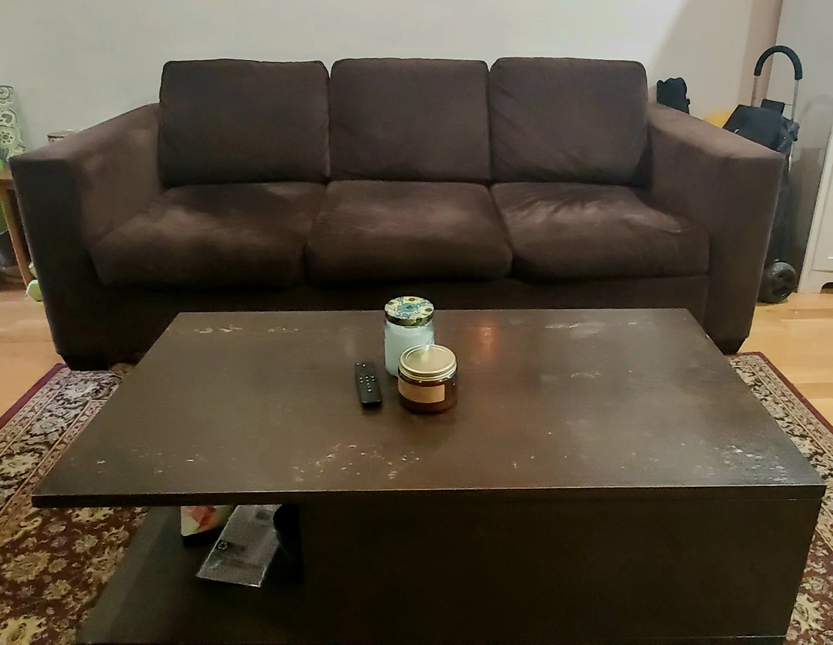 West Elm Queen Sleeper Sofa