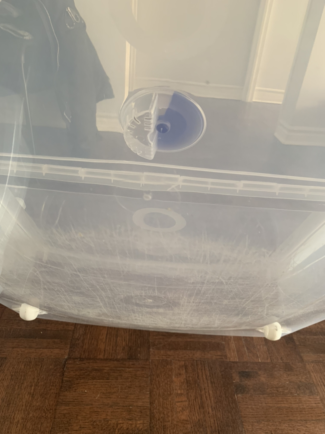Storage boxes (x3) - 40$ - pick up  - photo 5