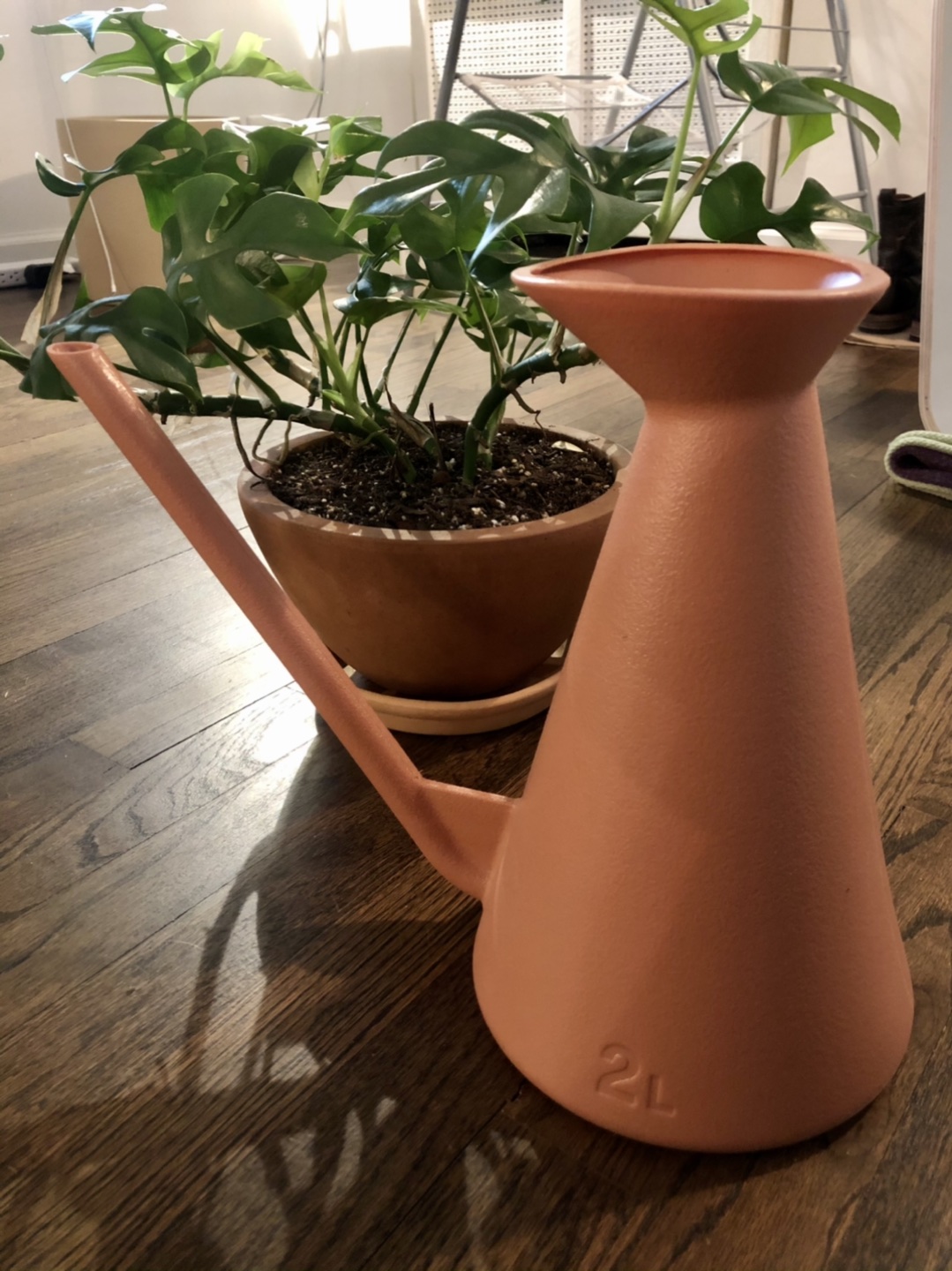 HAY watering can