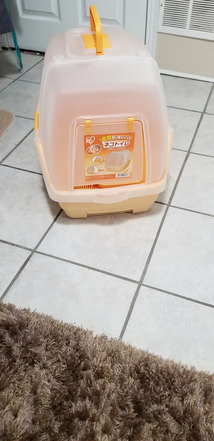 cat litter box