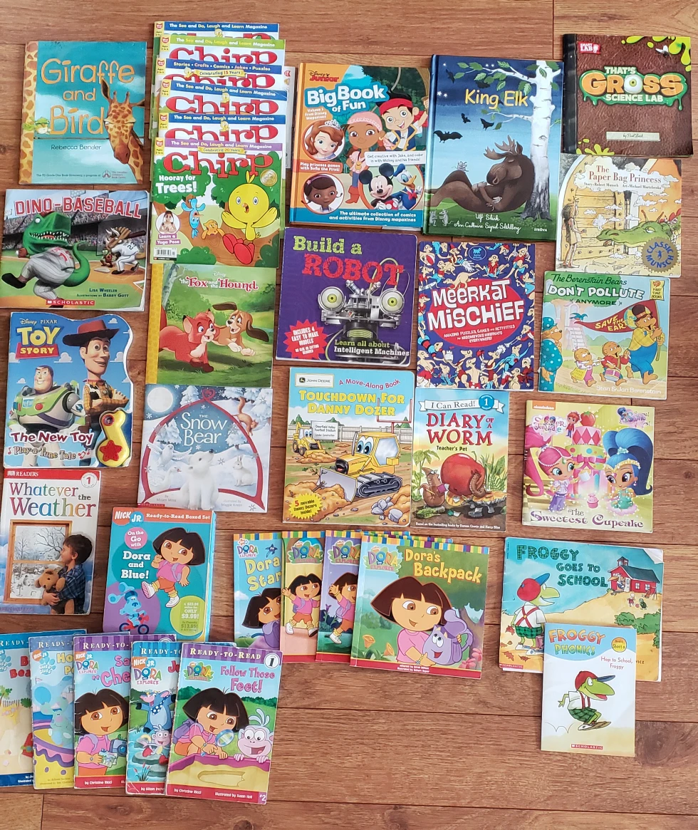 Children's book lot