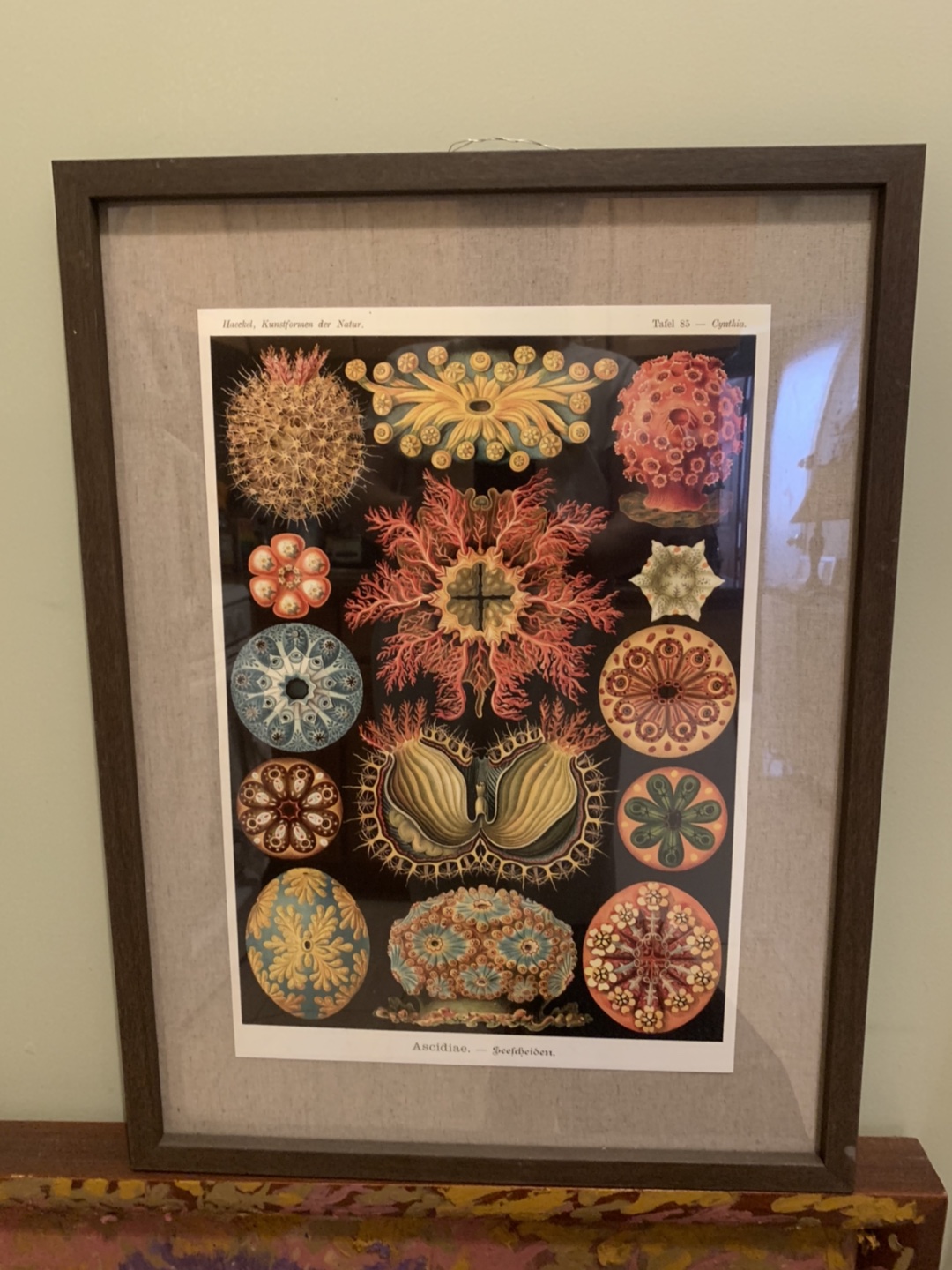 Framed artwork 18*24”