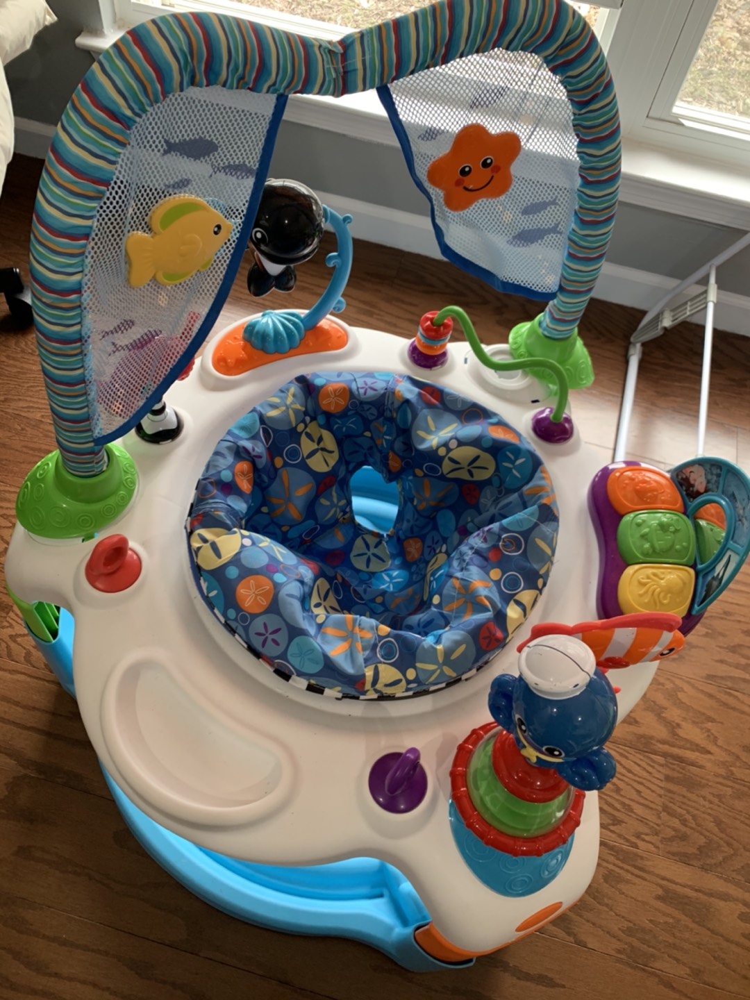baby saucer - photo 2
