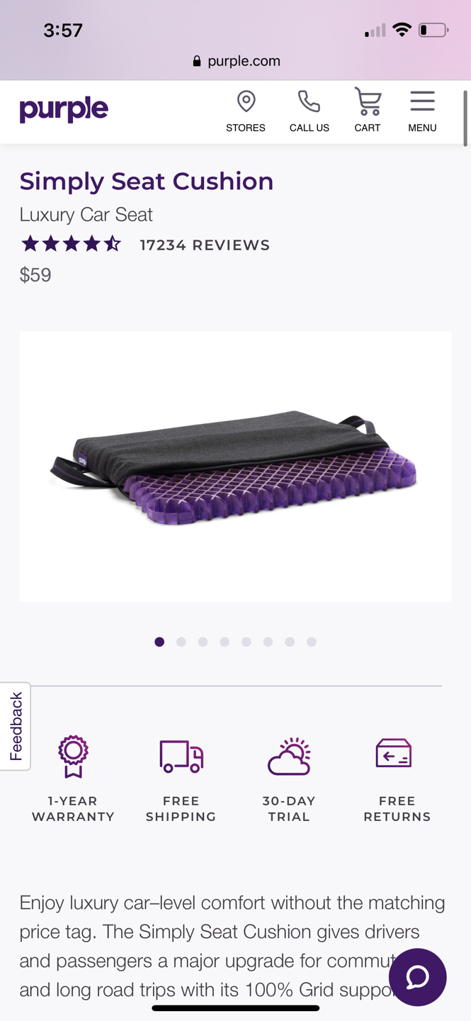 Free Purple seat cushion 