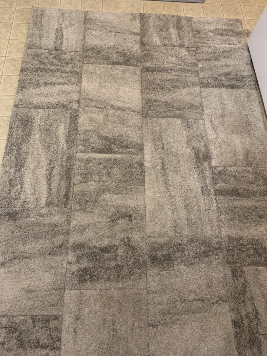 Area Rug - photo 2
