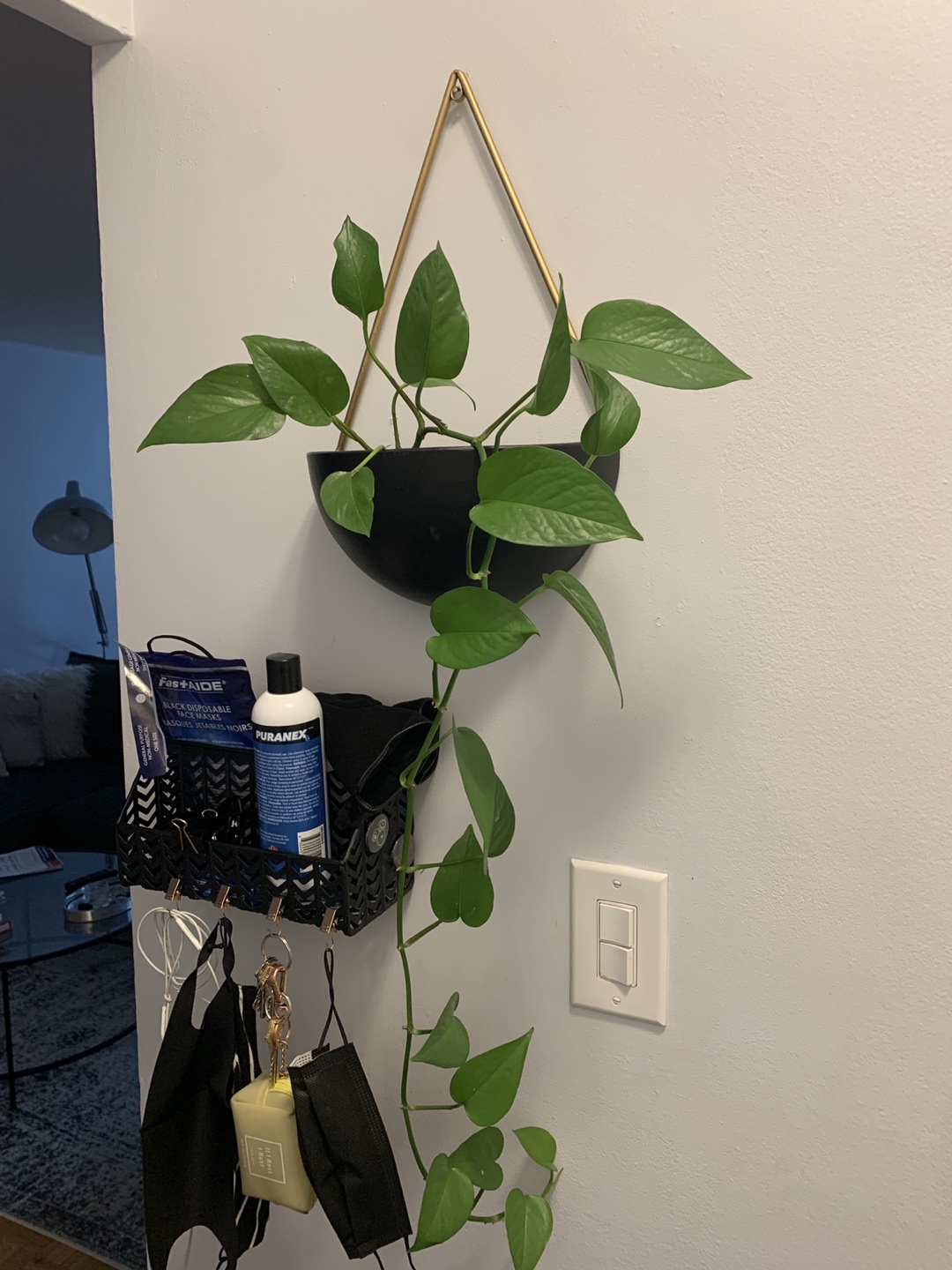 Hanging plant with basket  - photo 3