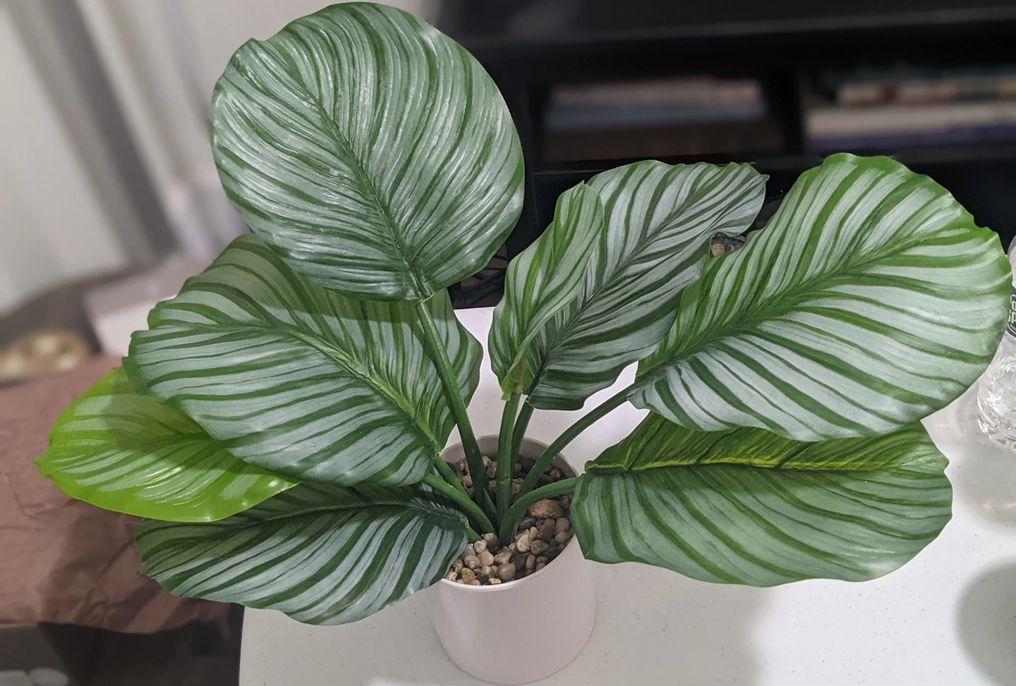 Artificial plants for sale ! - photo 2