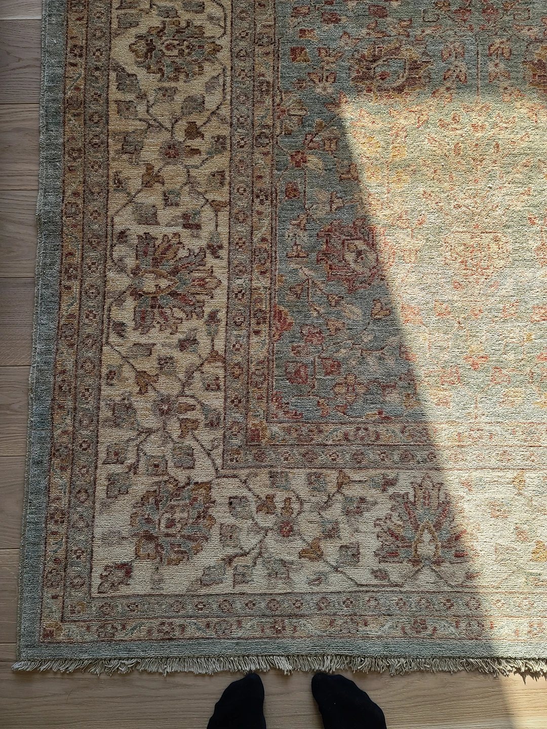 New Oriental Handmade Wool Rug 8*10