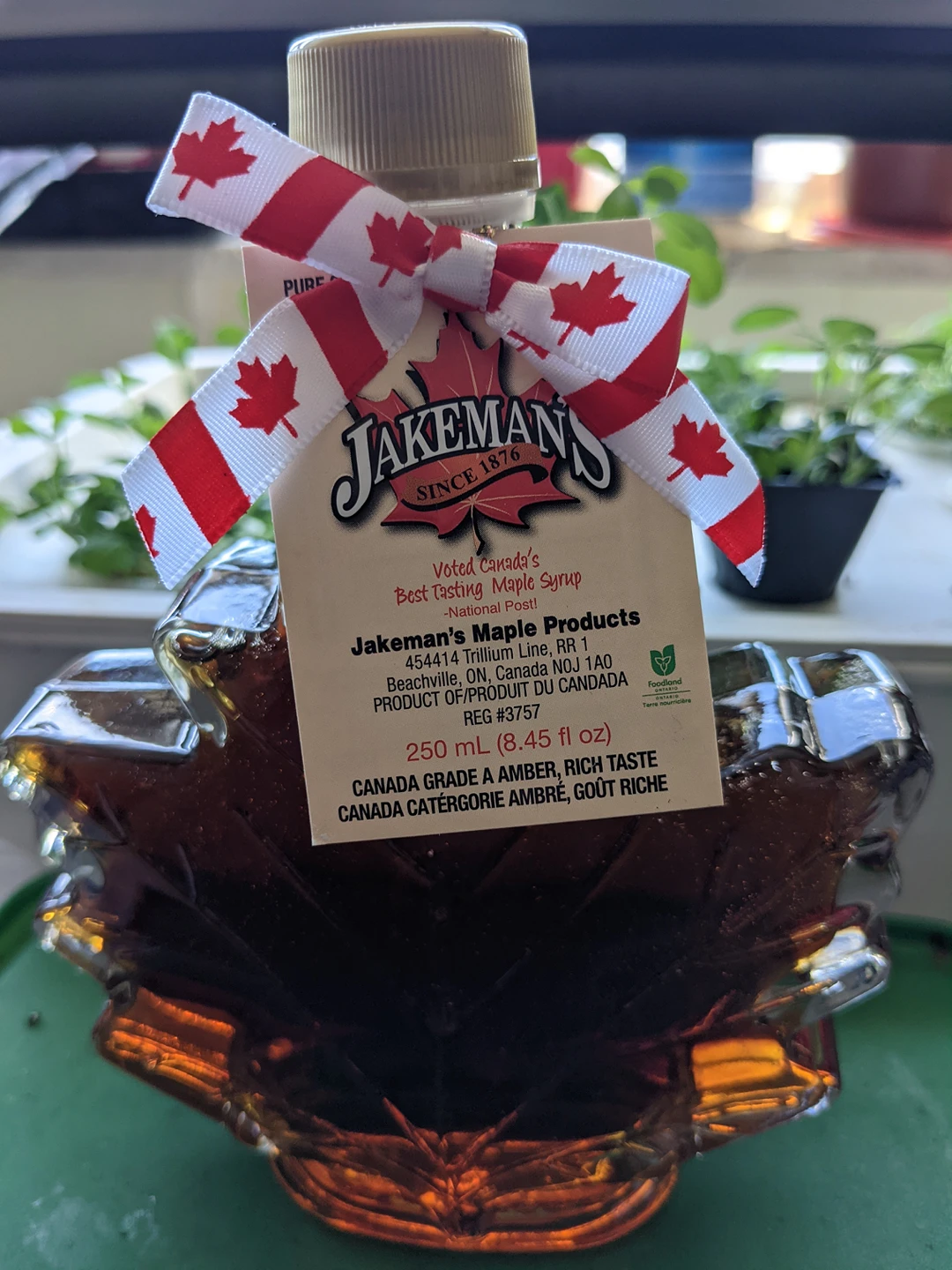 maple leaf syrup 250 ml made in ontario thumbnail