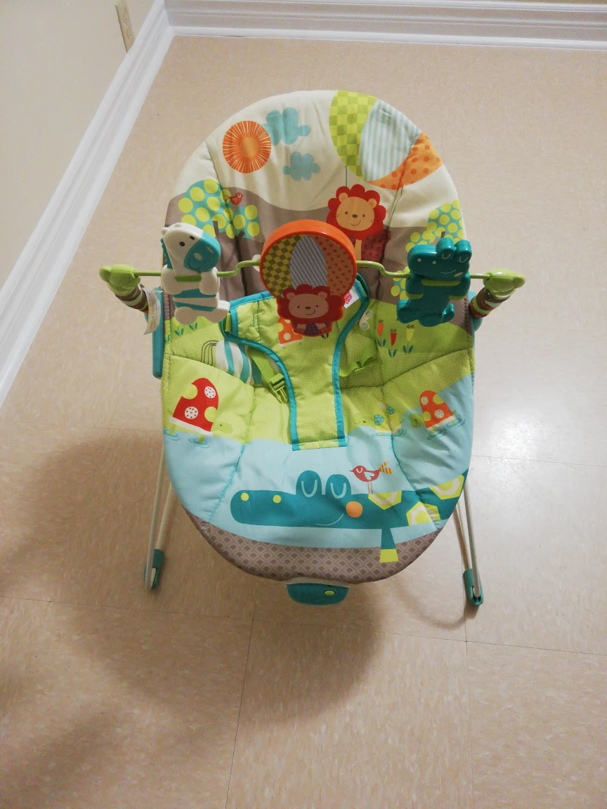 baby bouncer thumbnail