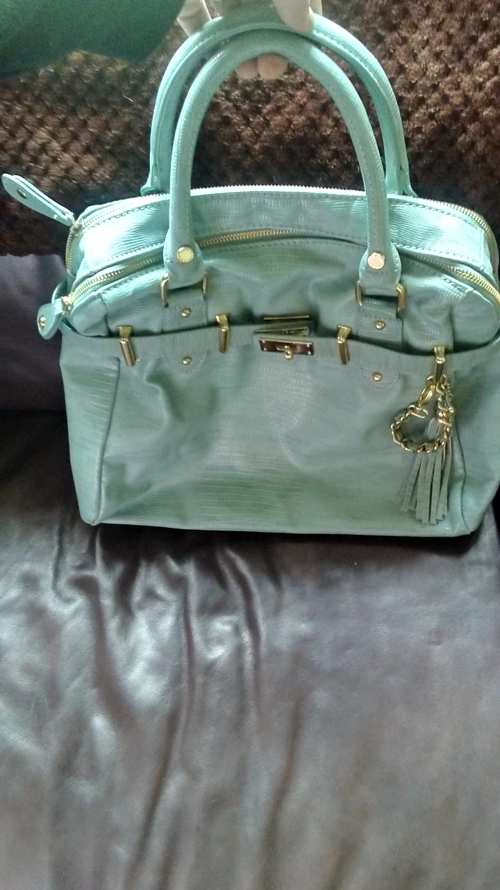 Steve Madden handbag. Incredible shoe/bag designer. image indicator(6)