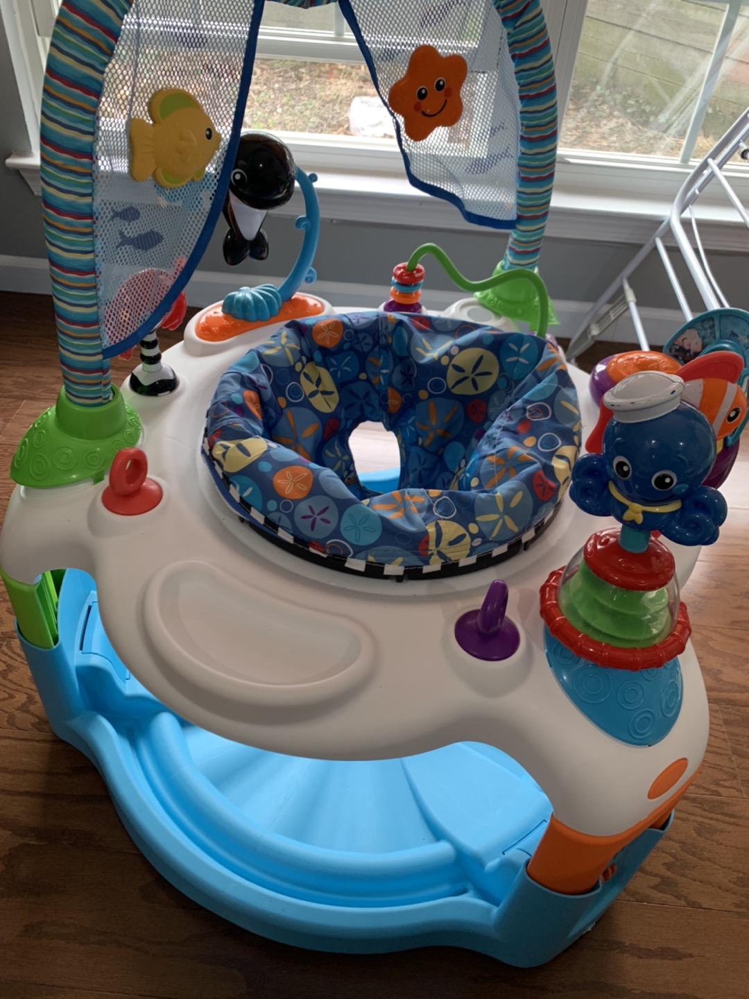 baby saucer