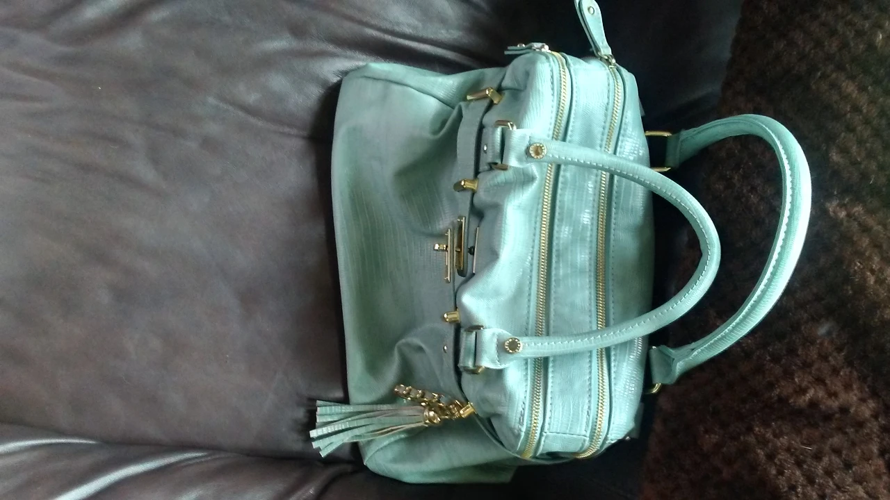 Steve Madden handbag. Incredible shoe/bag designer. image indicator(9)