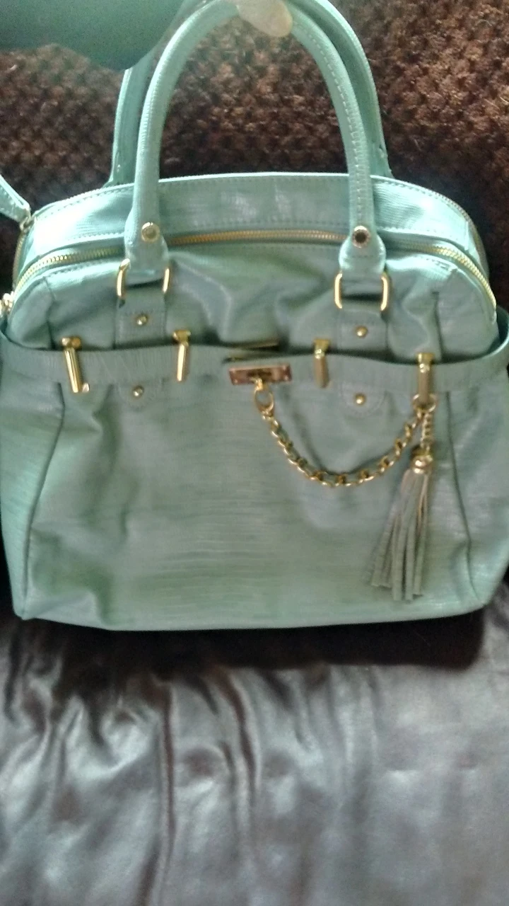 Steve Madden handbag. Incredible shoe/bag designer. image indicator(7)